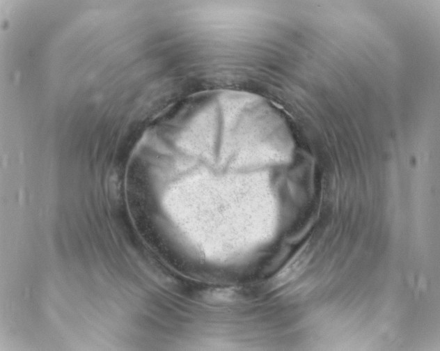 X0000088900086200706291515