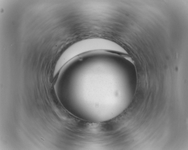 X0000088900088200706291515