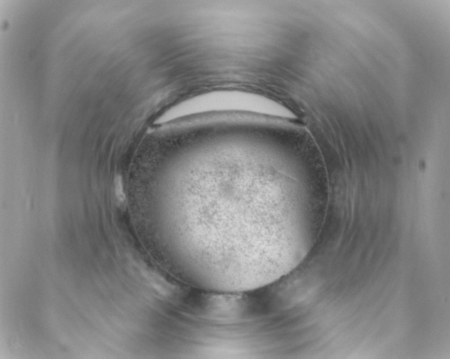 X0000088900089200706291515