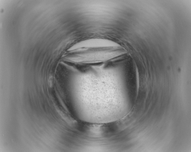 X0000088900090200706291515