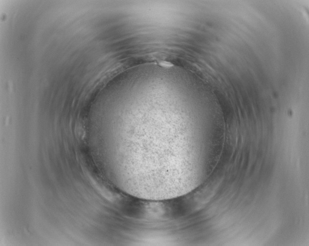 X0000088900091200706291515