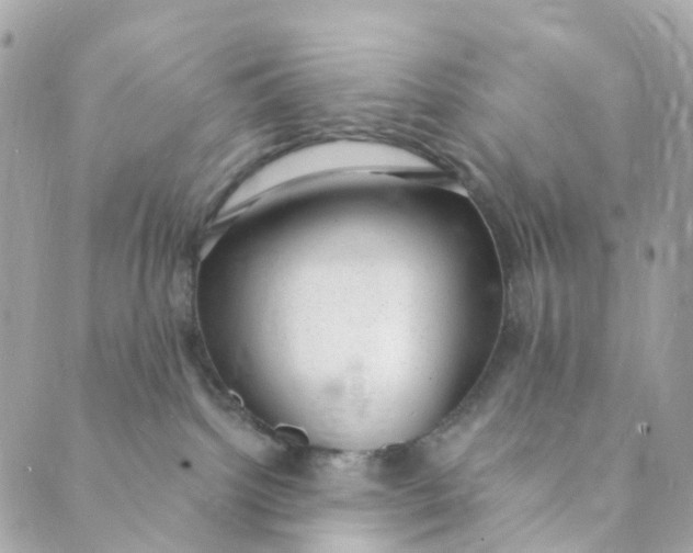 X0000088900092200706291515