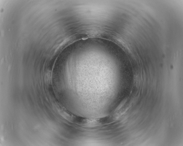 X0000088900093200706291515