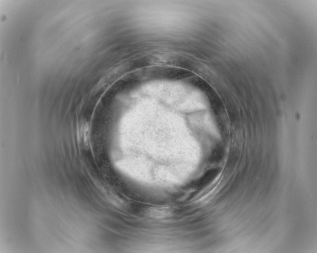 X0000088900094200706291515