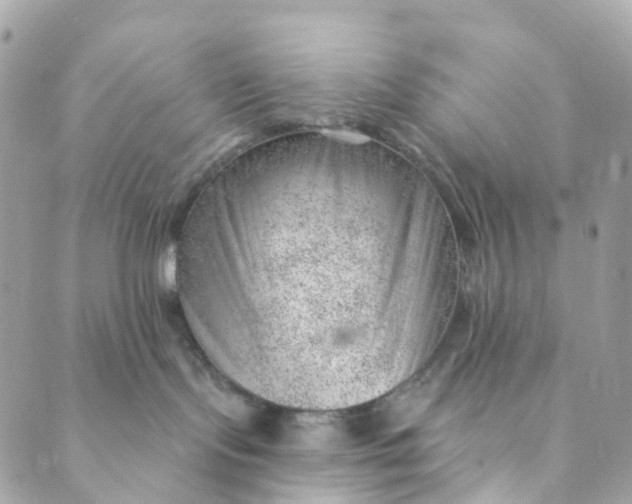 X0000088900095200706291515