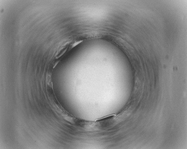 X0000088900096200706291515