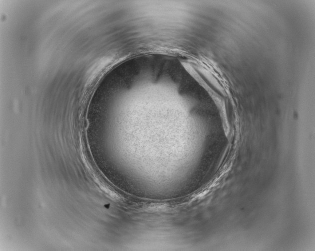 X0000088900097200706291514