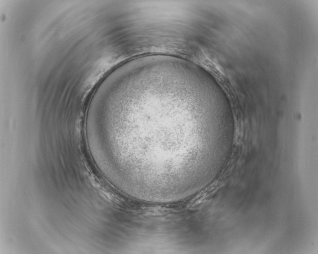 X0000088900098200706291514