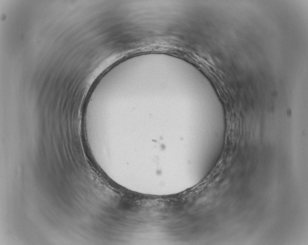 X0000088900100200706291514