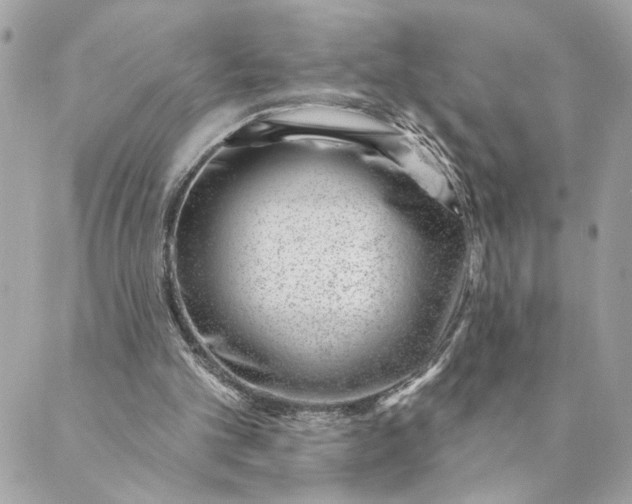 X0000088900101200706291514