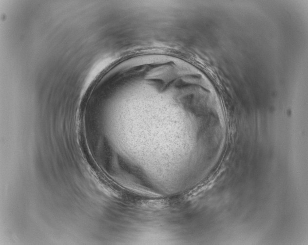 X0000088900102200706291514