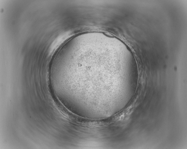 X0000088900103200706291514