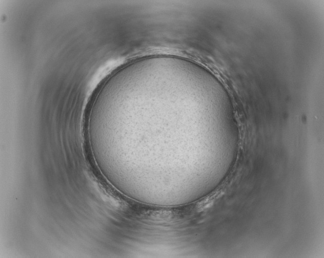 X0000088900104200706291514