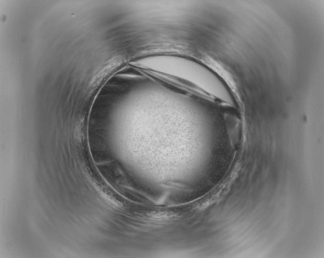 X0000088900105200706291514