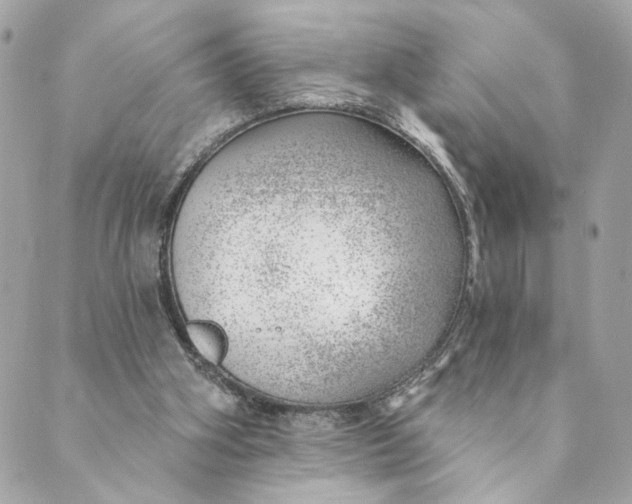 X0000088900106200706291514