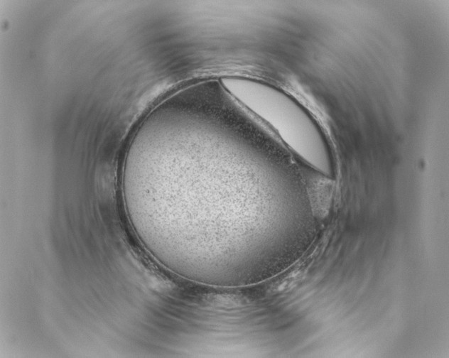 X0000088900107200706291514