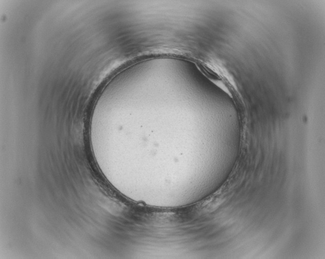 X0000088900108200706291514