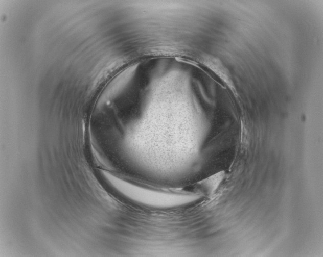 X0000088900109200706291514