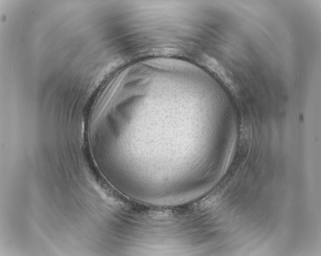 X0000088900110200706291514