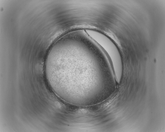 X0000088900111200706291514