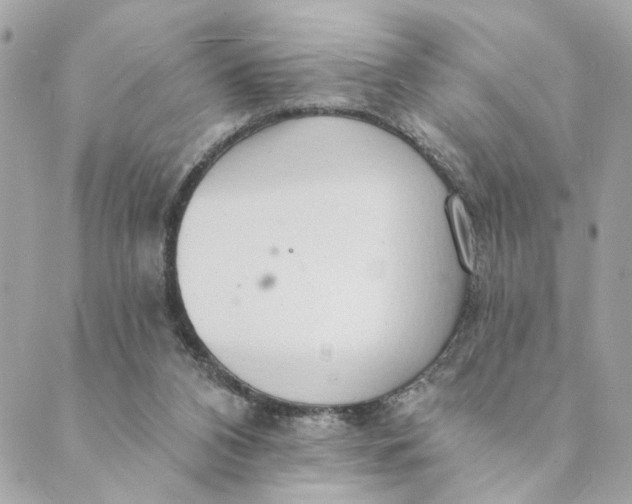 X0000088900112200706291514