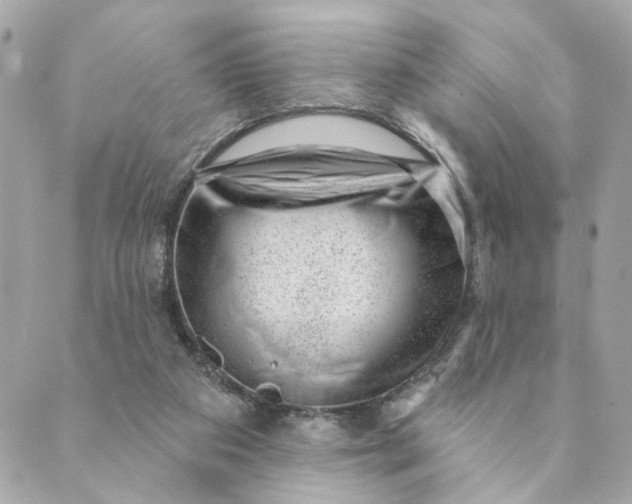 X0000088900113200706291514