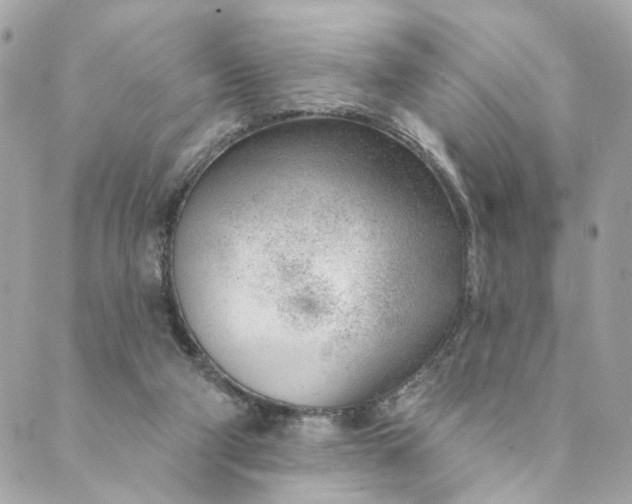 X0000088900114200706291514