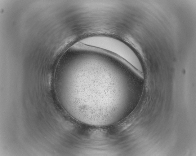 X0000088900115200706291514