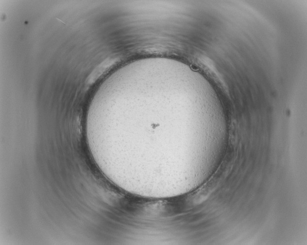 X0000088900116200706291514