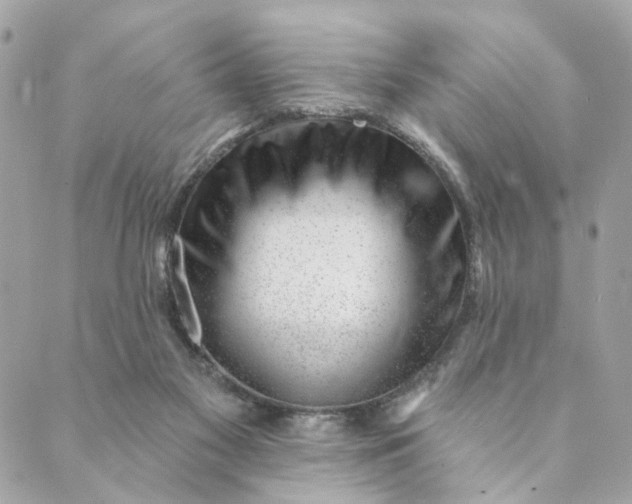 X0000088900117200706291514