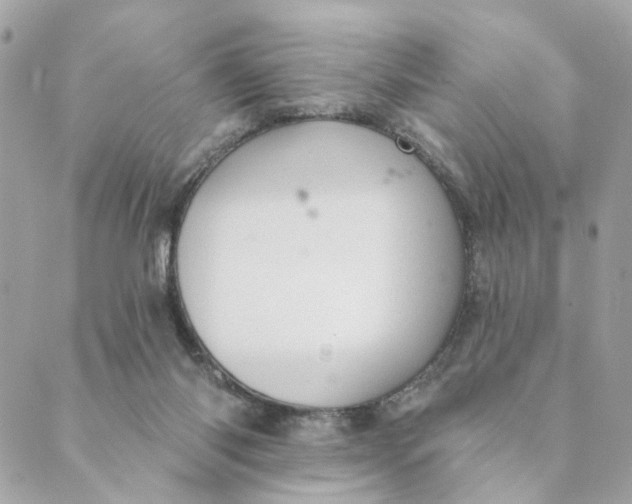 X0000088900118200706291514