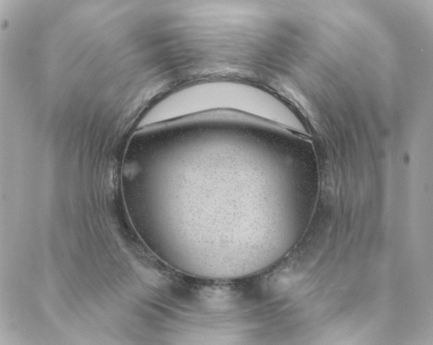 X0000088900119200706291514