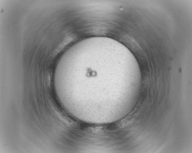 X0000088900120200706291514