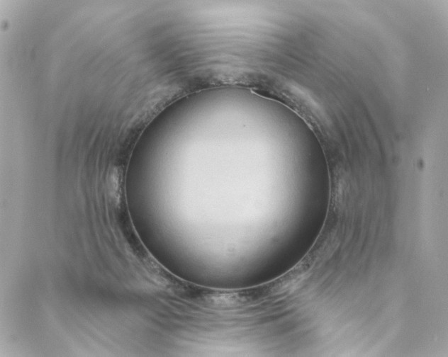 X0000088900121200706291514