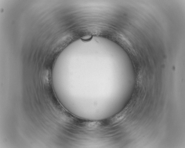 X0000088900122200706291514