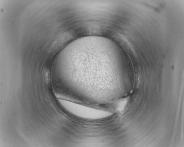 X0000088900123200706291514