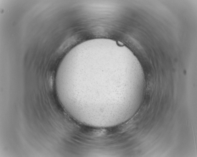 X0000088900124200706291514