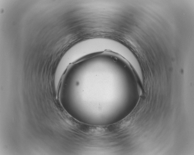 X0000088900125200706291514