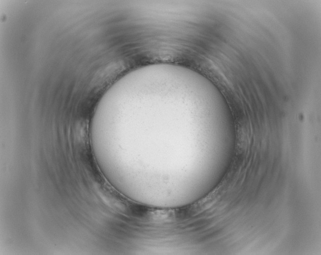 X0000088900126200706291514