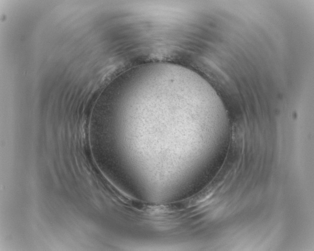 X0000088900127200706291514