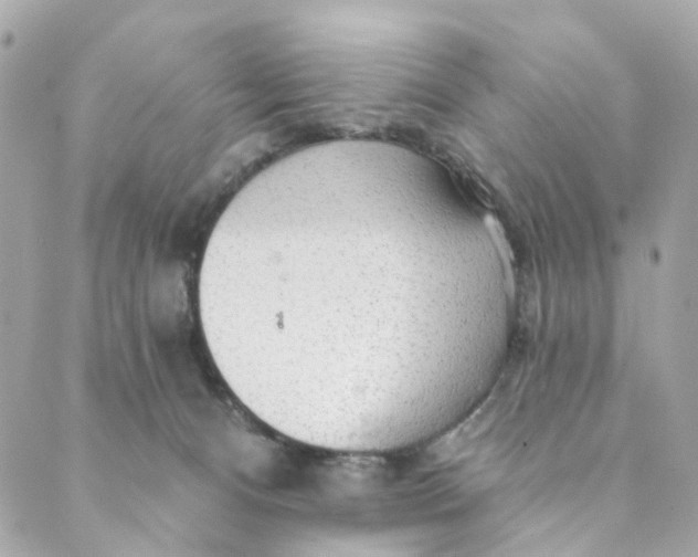 X0000088900128200706291514