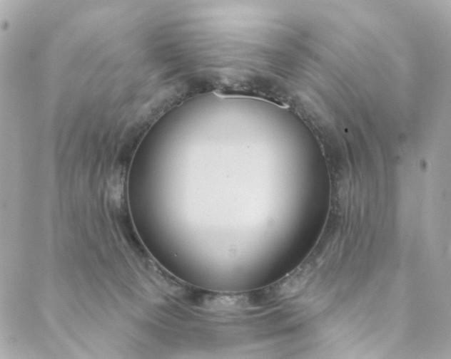 X0000088900129200706291514