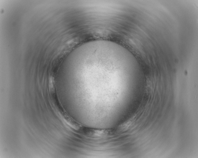 X0000088900130200706291514