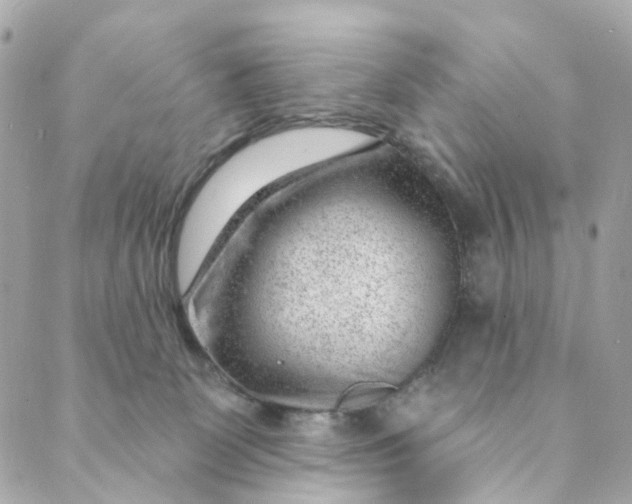 X0000088900131200706291514