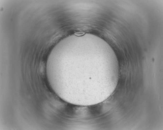 X0000088900132200706291514