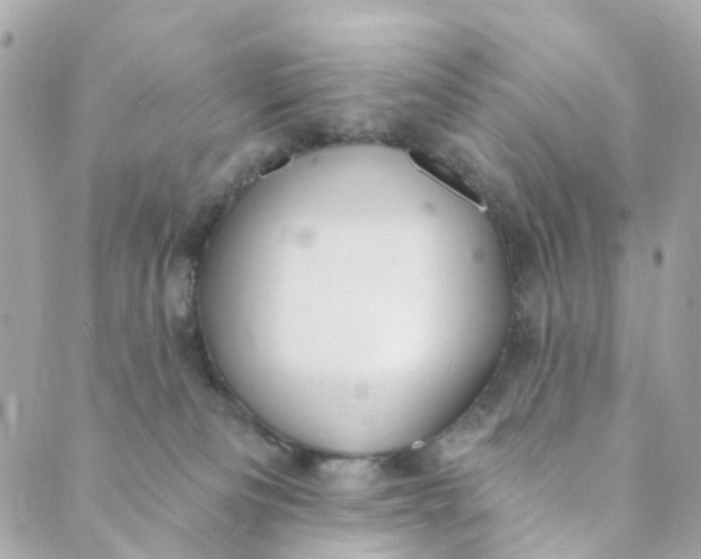 X0000088900133200706291514