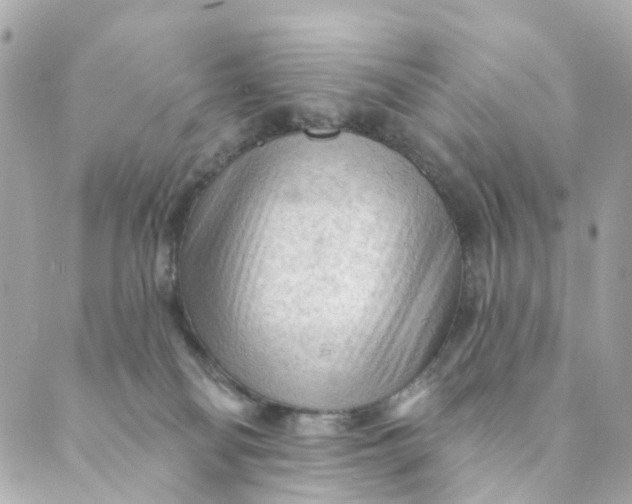 X0000088900134200706291514