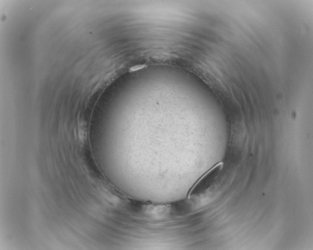 X0000088900135200706291514