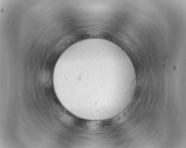 X0000088900136200706291514