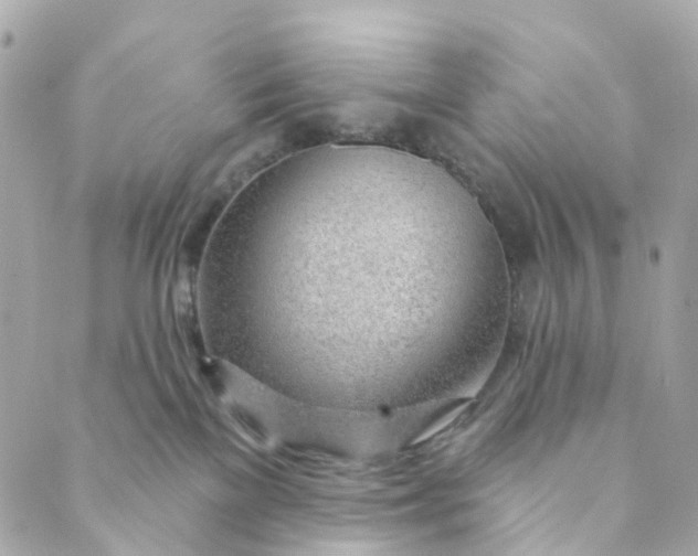 X0000088900137200706291514